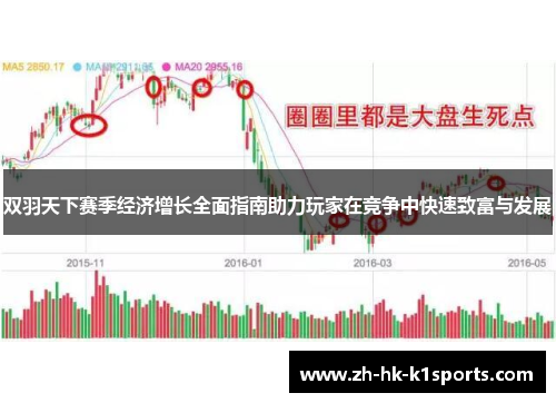 双羽天下赛季经济增长全面指南助力玩家在竞争中快速致富与发展